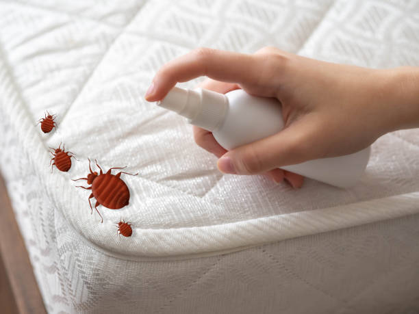 Best Emergency Pest Control  in Gardere, LA